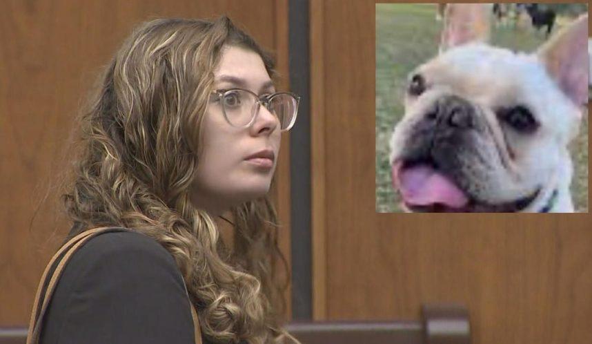 Poker Player’s Dog Death ‘Trainer’ Faces Similar Charges in California