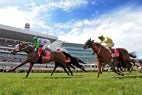 Apollo Lack of Sportsbook Experience Could Be Hurdle in Tabcorp Bid, Say Analysts