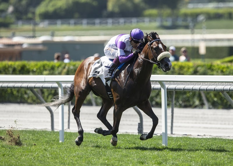 Two More Horses Die at Santa Anita as California Board Calls for Racing Stoppage; Attendance, Handle Plummet