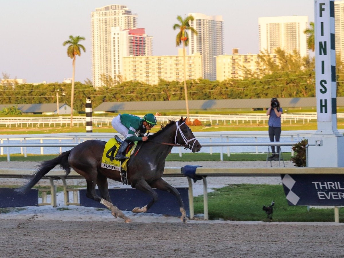 Road to the Kentucky Derby: Forte’s Odds Drop After Win in 3-Year-Old Debut