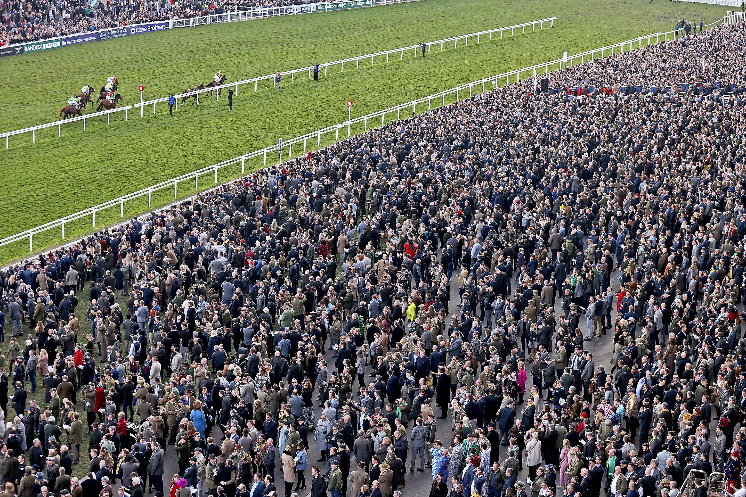 Calls for Investigation into Cheltenham Festival Role in Spreading Coronavirus in UK