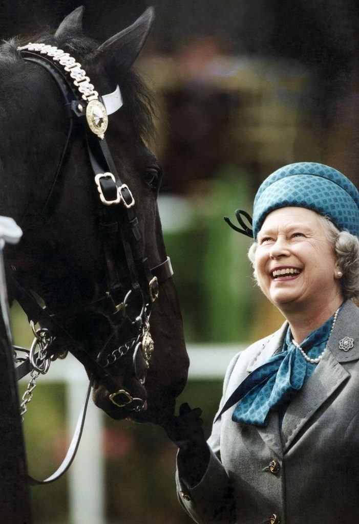 Queen Elizabeth Knows How to Pick Horse Racing Winners, and She Has £6.7M to Prove It